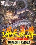 逆天武尊(书坊)