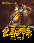 至尊武帝()